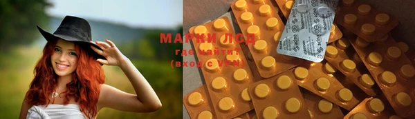 молекула духа Арсеньев