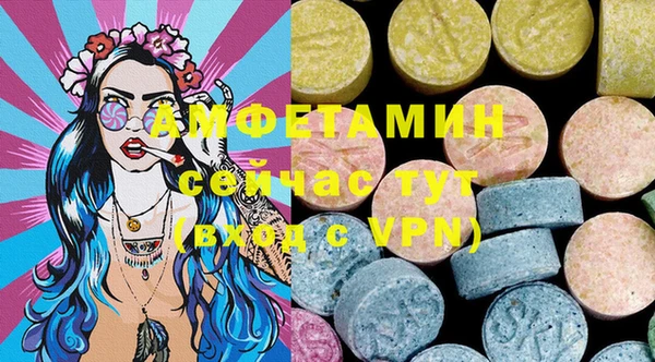 молекула духа Арсеньев