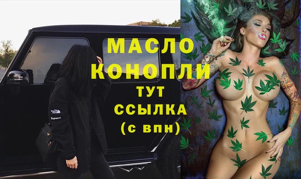 амф Бородино