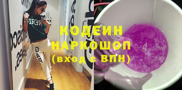 молекула духа Арсеньев