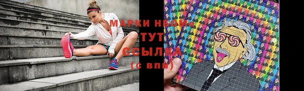 трава Аркадак