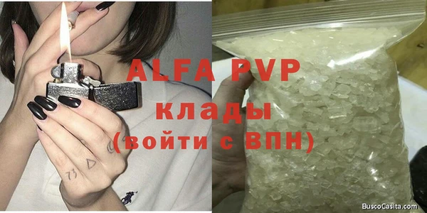 молекула духа Арсеньев