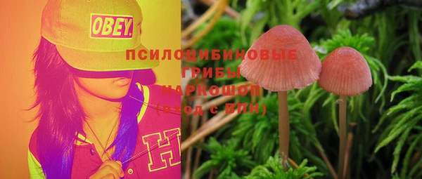 трава Аркадак